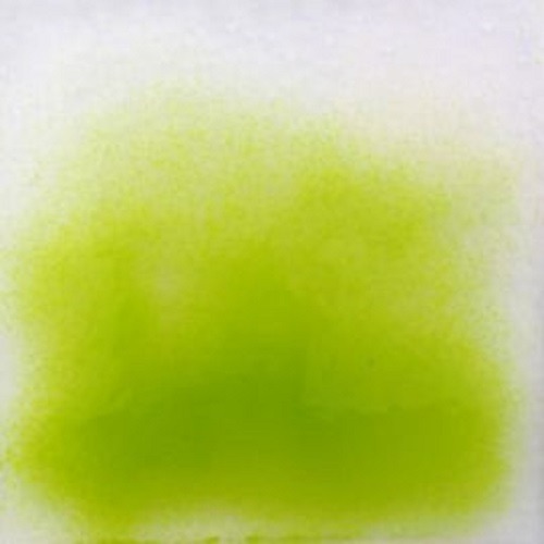 옵툴82]3075-pistachio green / XM